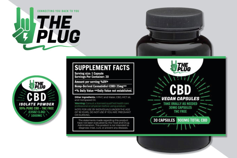 Portfolio: The Plug - Grunge Muffin Designs